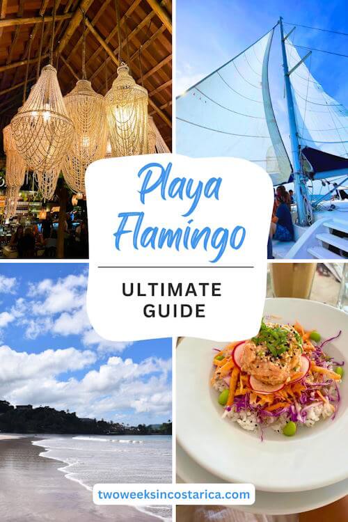 photo collage with text overlay that reads playa flamingo ultimate guide