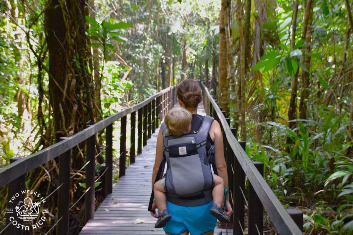 a woman hiking through the forest with a baby in a backpack carrier