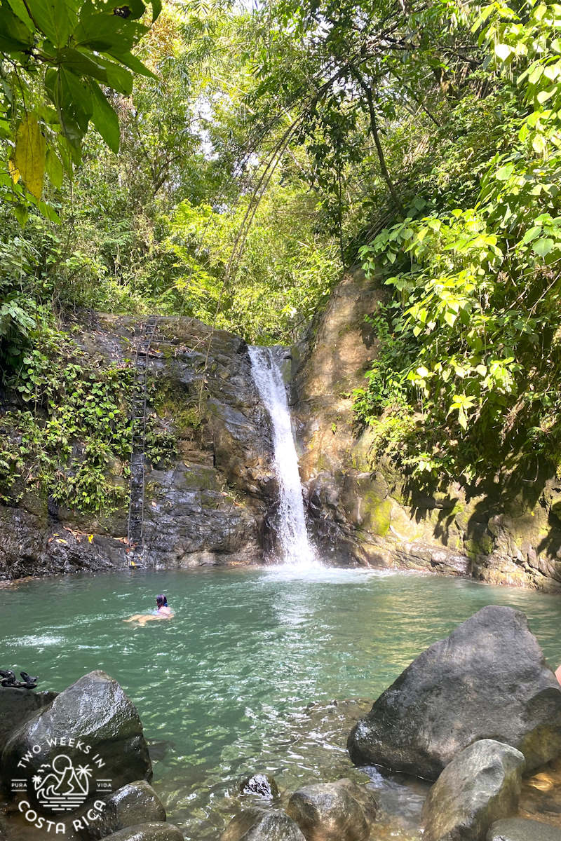 someone swimming in a waterfall with a green pool with forest around