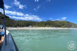 view from a boat of tortuga island