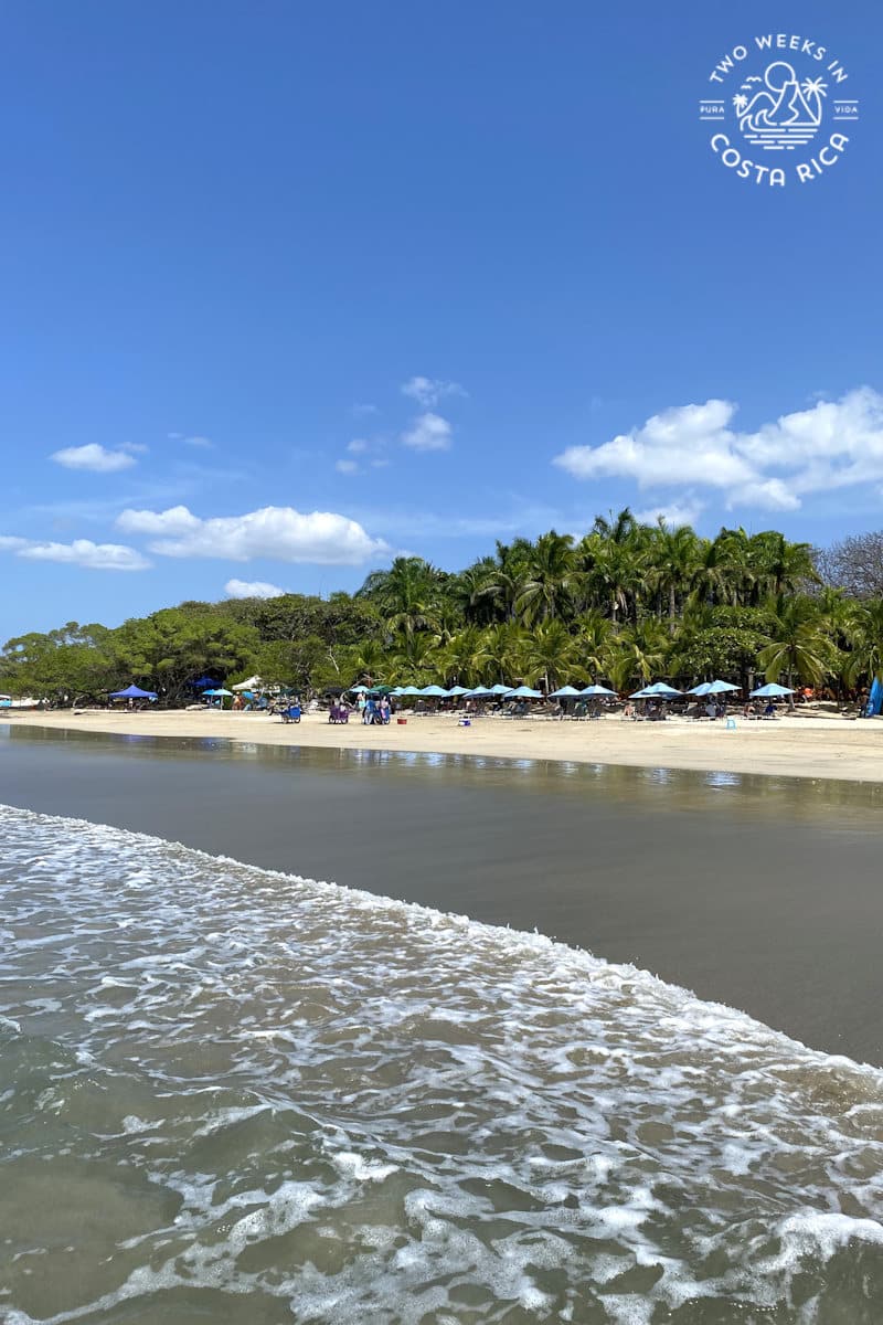 looking at playa avellanas beach from the ocean