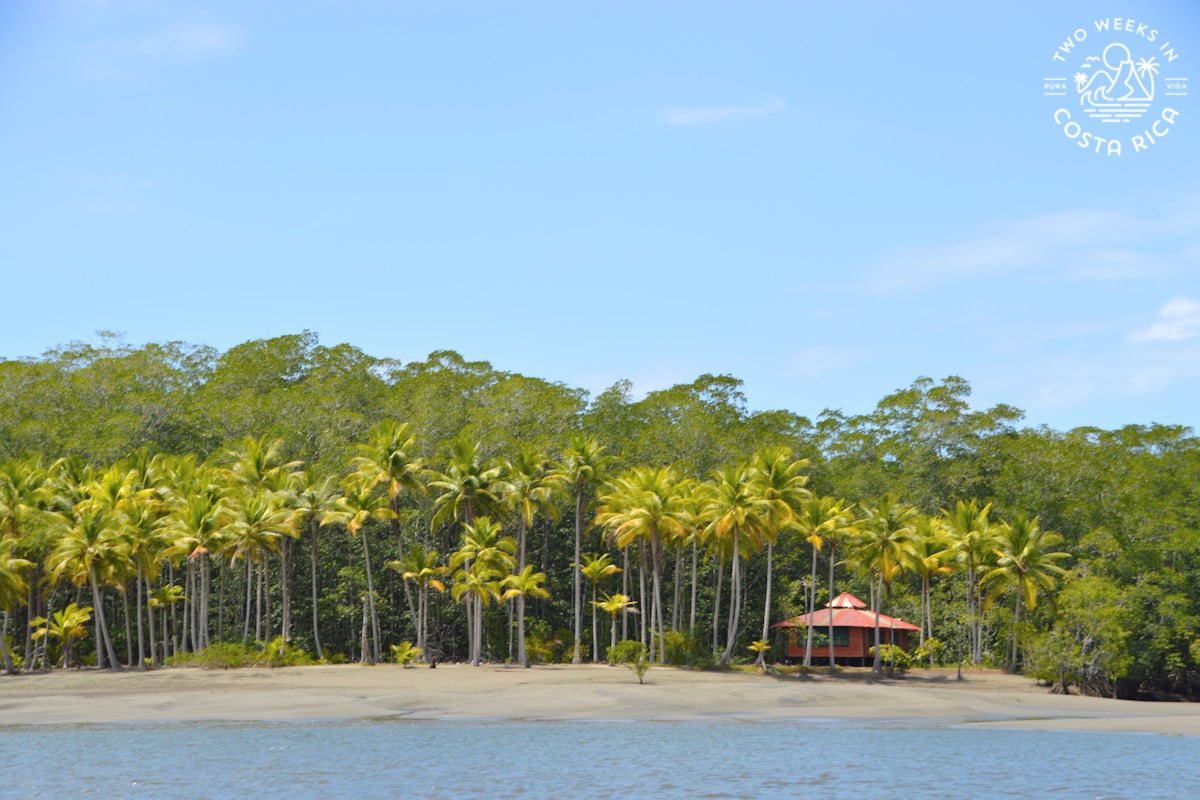 Scenic coastal views on the boat taxi to drake bay
