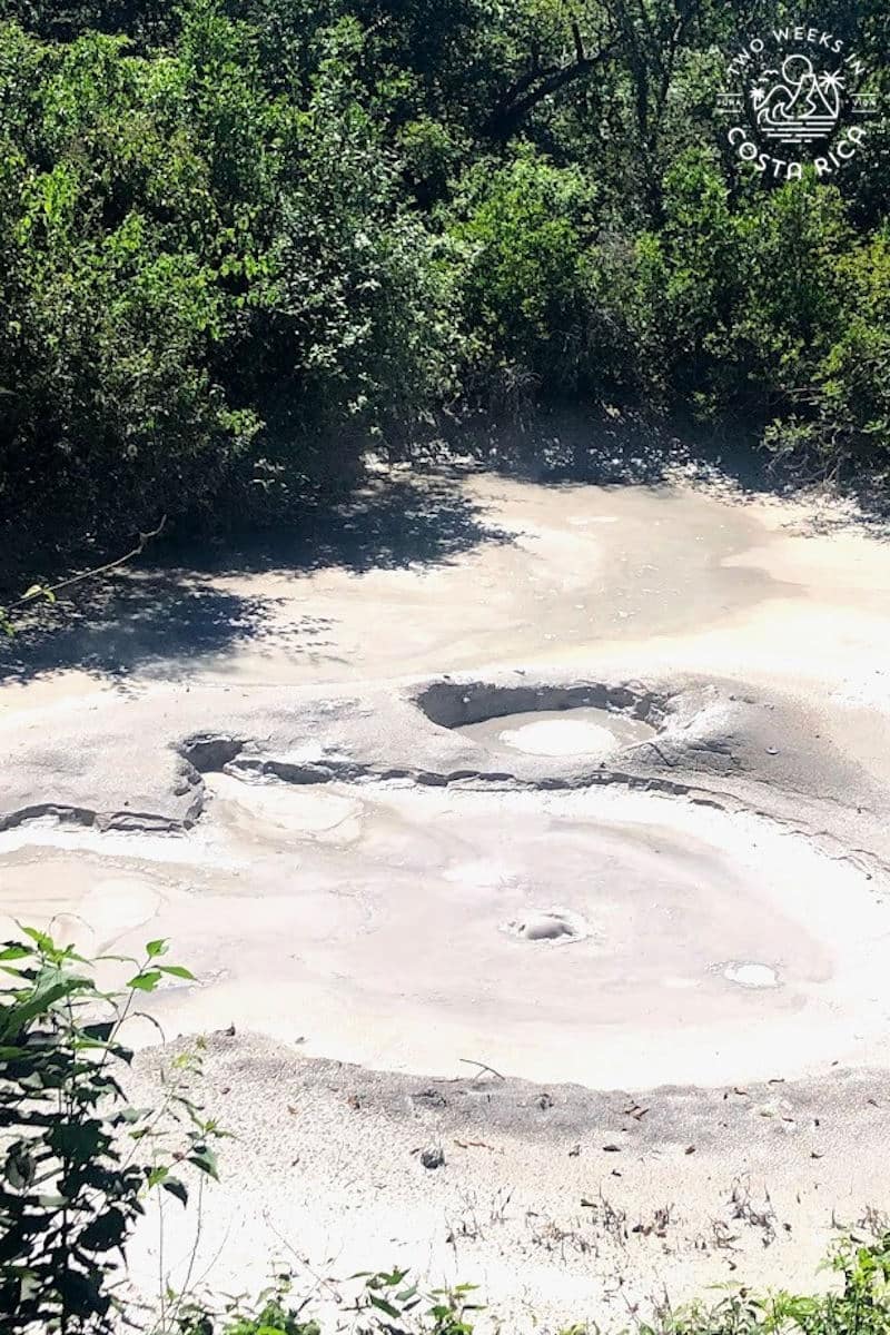 gray mud with a pool of it bubbling in the middle surrounded by green forest