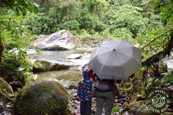 a family looking out at a river in the rain