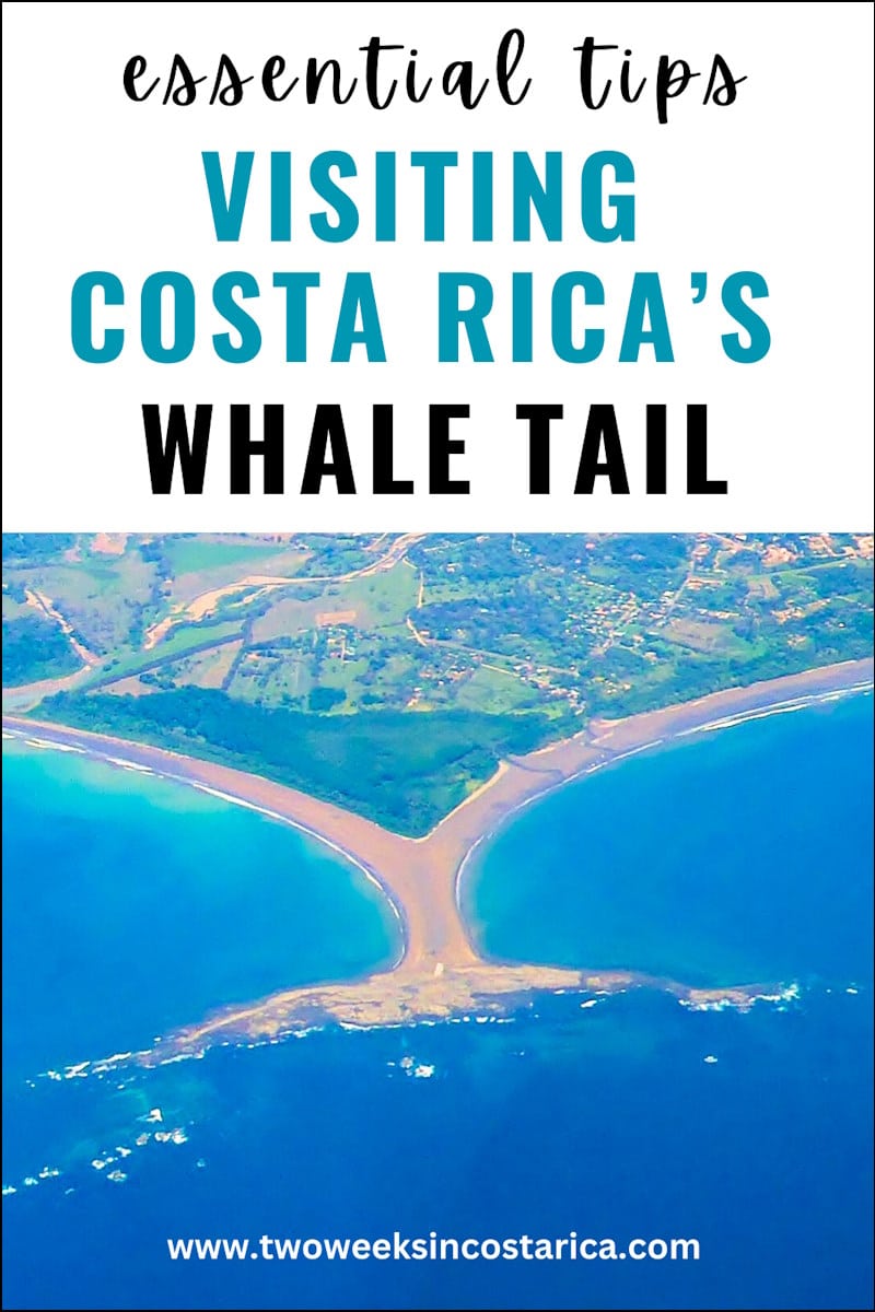 photo of a sandbar in the shape of a whale tail with text that reads essential tips visiting costa rica's whale tail