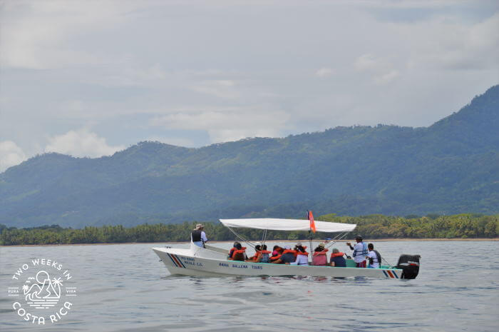 small boat with canopy full of tourist on a whale watch tour