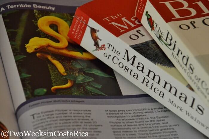 Costa Rica Wildlife Guides