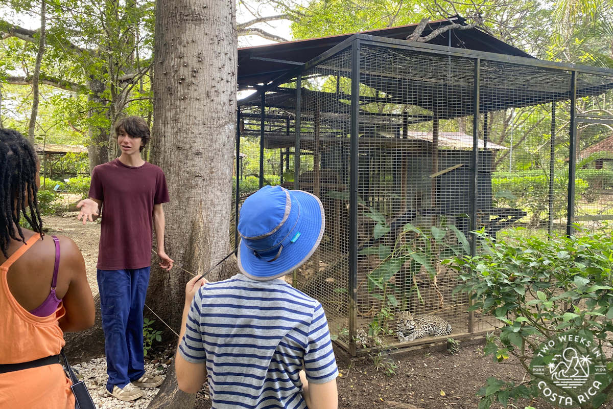 people outside looking at an enclosure with an animal inside